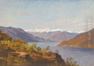 Landschaft Am Vierwaldstattersee