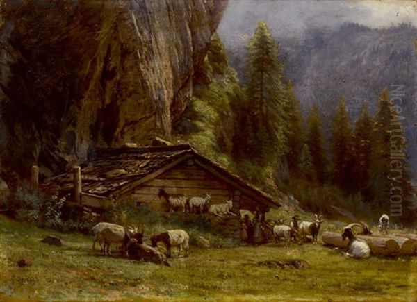 Ziegen Vor Einem Chalet - view 1