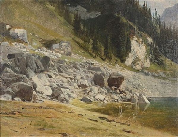 Bergsee In Der Talschaft Von Les Ormonts - view 1