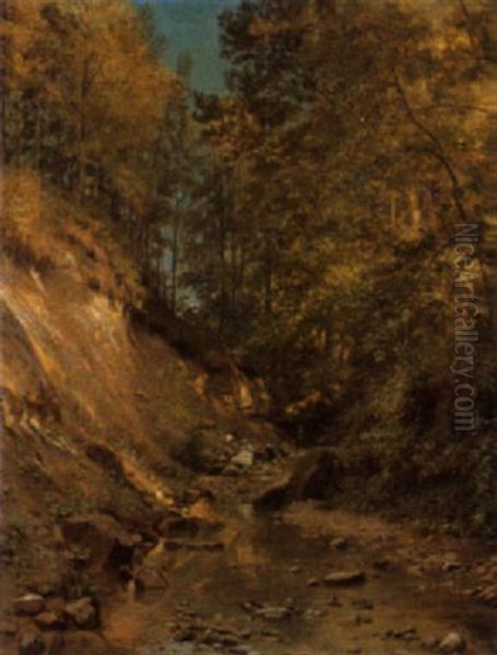 Sonnige Waldlandschaft - view 1