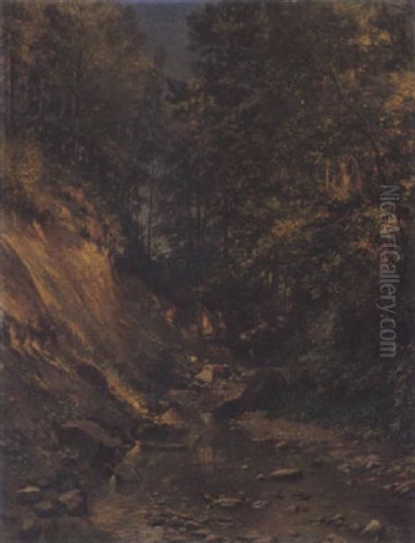 Sonnige Waldlandschaft - view 1