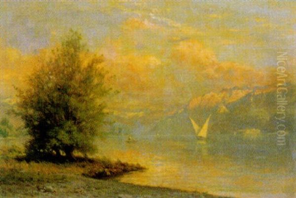 Genfer Seelandschaft - view 1