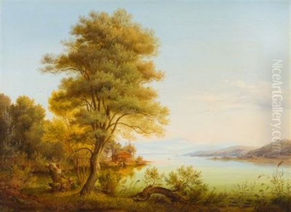 Seenlandschaft Mit Blick Auf Die Alpen - view 1