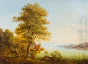 Seenlandschaft Mit Blick Auf Die Alpen Seenlandschaft Mit Blick Auf Die Alpen