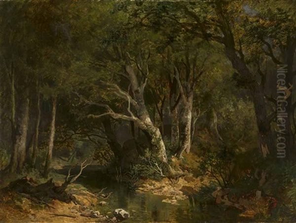 Sommerliche Waldlandschaft - view 1