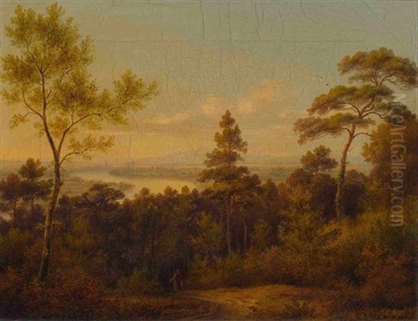 Blick Auf Eine Weite Flusslandschaft - view 1