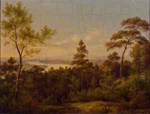 Blick Von Bewaldeter Hohe Auf Flusslandschaft