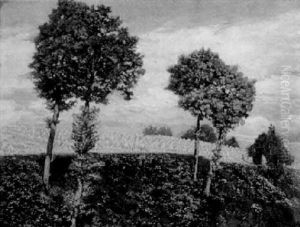 Ernte by Franz Gelbenegger
