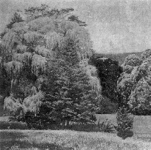 Parklandschaft by Franz Gelbenegger