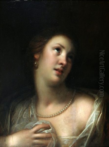Venus - view 1