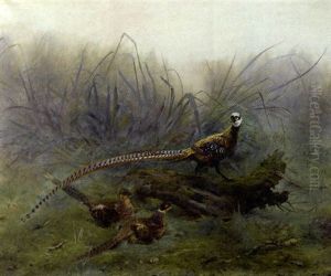 Faisans by Gaston Gelibert