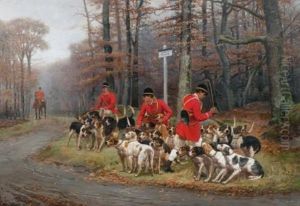 Ecoutant Les Chiens D'attaque
