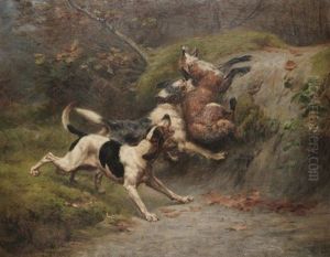 Deux Chiens Prenant Un Renard