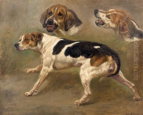 Etude De Chiens (study) - view 1