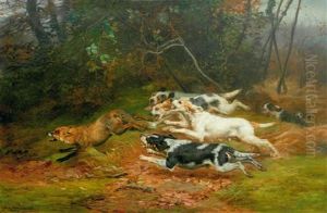 Chasse Au Renard Chasse Au Renard