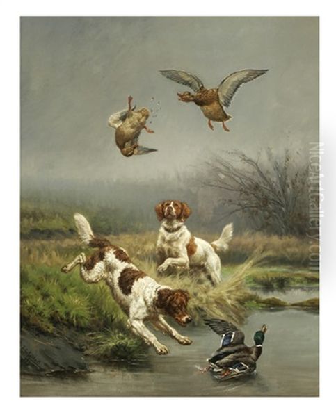 Duck Hunting - view 1