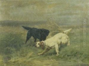Deux Chiens Deux Chiens
