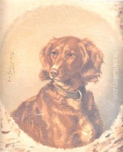 Retrato De Perro