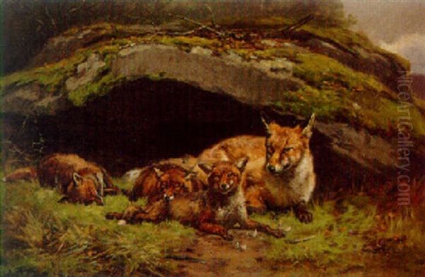 A Vixen And Cubs By Their Den - view 1