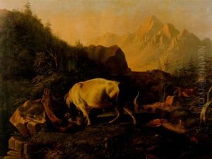 Bergslandskap Med Stridante Tjur Och Bjorn