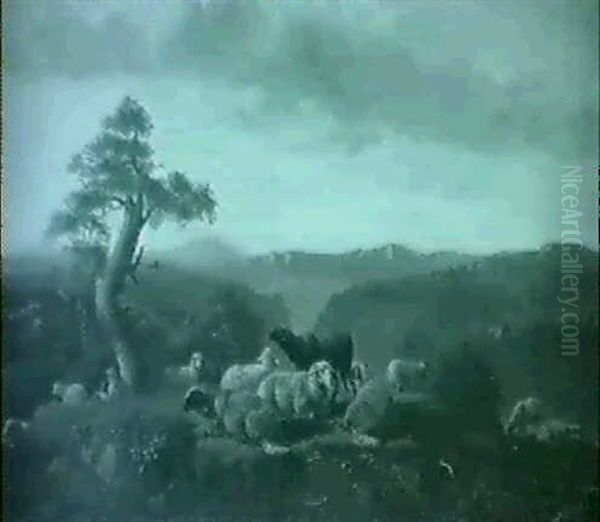Patre Et Ses Moutons - view 1