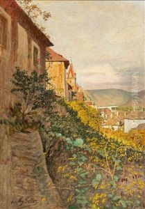 View Of Weisenkirchen In The Wachau by Johann Nepomuk Geller