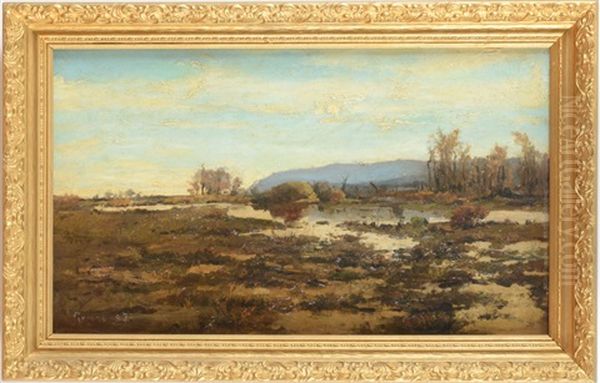 Marshy Landscape - view 1
