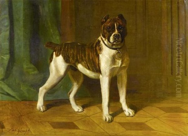 Bullterrier - view 1