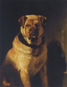 A Mastiff