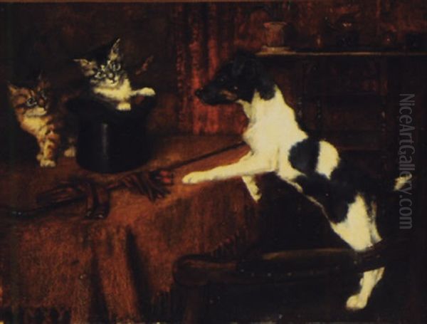 Two Cats In A Hat Surprise The Terrier - view 1