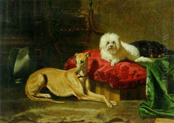 The Dog Parlour - view 1