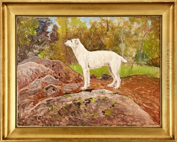 "murre" - view 1