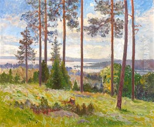 Gront Landskap Fra Gallo, Jamtland - view 1