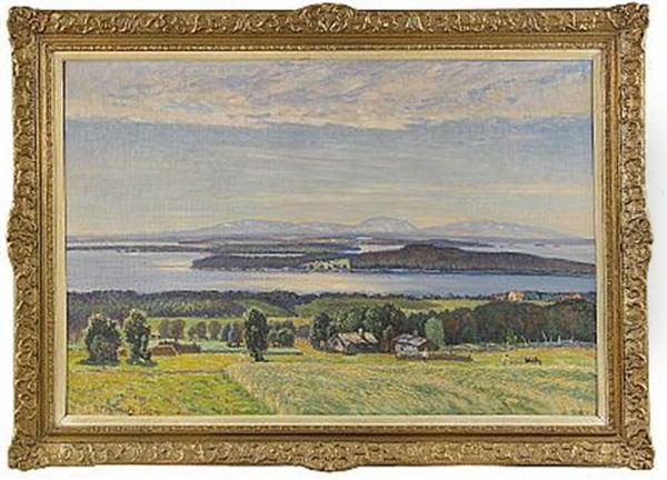 Nordsvenskt Sommarlandskap - view 1