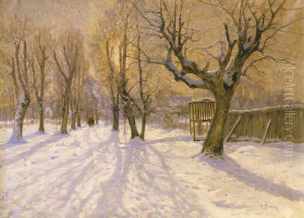 Vinter, Djurgarden - view 1