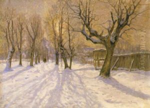 Vinter, Djurgarden by Anton Genberg