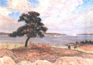 Motiv Fran Sandhamn by Anton Genberg
