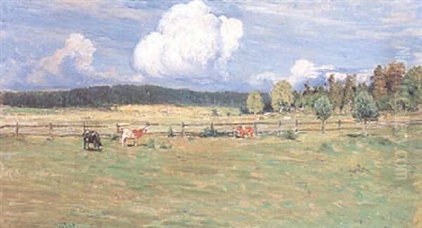 Sommarlandskap Med Betande Kor - view 1