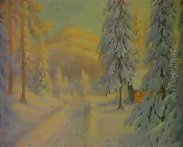 Vag Genom Snotyngd Granskog - view 1