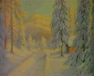 Vag Genom Snotyngd Granskog