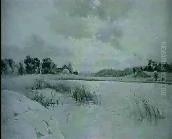 Landskap Med Gard Vid Vatten - Sommarmotiv Fran Ljustero - view 1