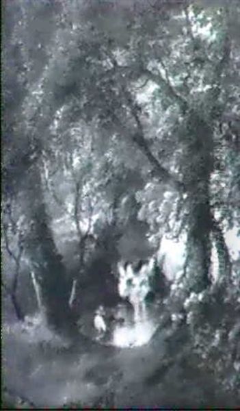 Angler Am Waldbach - view 1