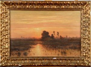Coucher De Soleil Sur Les Marecages