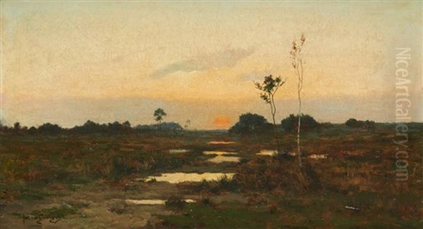Coucher De Soleil Sur Le Marais - view 1