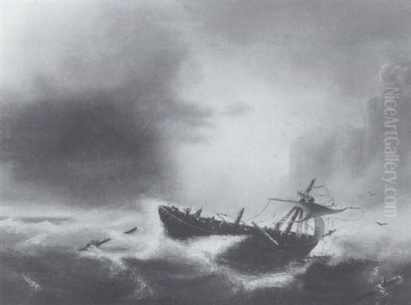 Boot Im Sturm Vor Felsenkuste - view 1