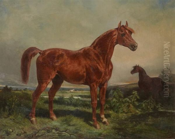 Chevaux Au Pre - view 1