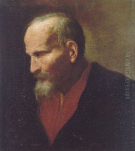 Head Of A Bearded Man by Benedetto Gennari the Younger
