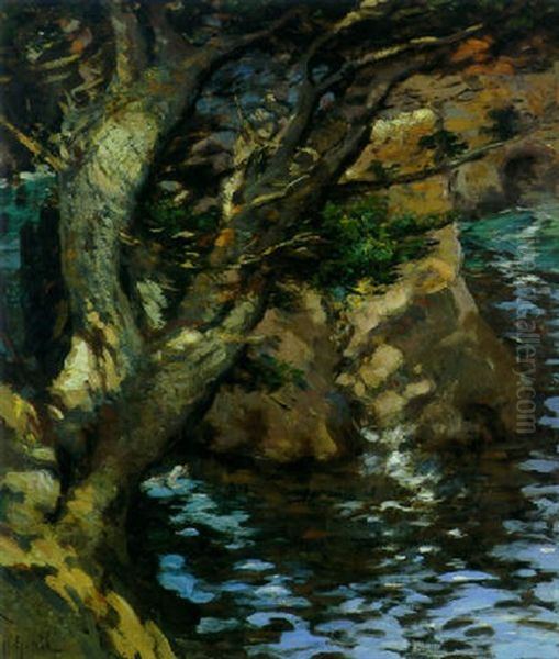 Point Lobos, Monterey, California - view 1