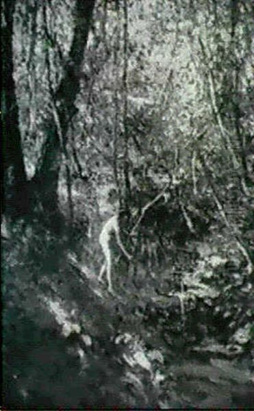 Bather Beside A Woodland Stream - view 1