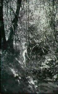 Bather Beside A Woodland Stream by Lillian M. Genth